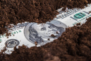 Money Growing in Soil