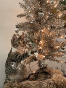 Ella-at-Christmas