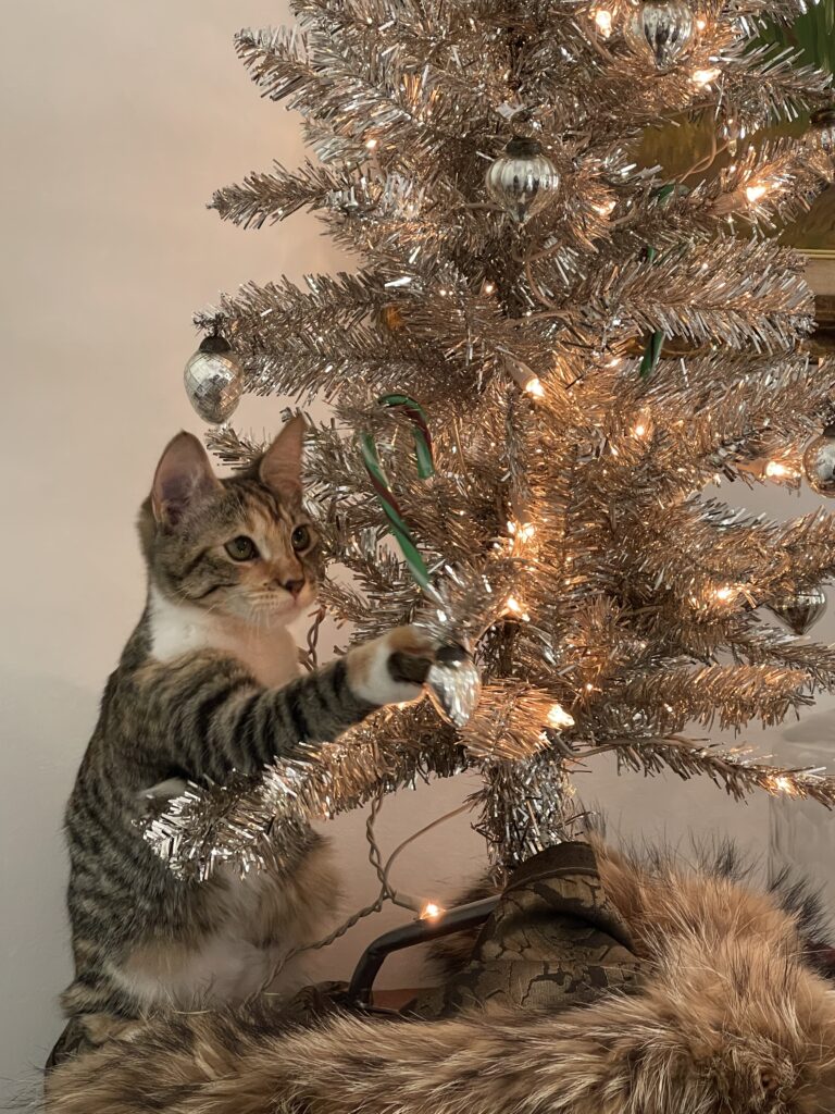 Top 5 Reasons to Sell Your Home Before the New Year