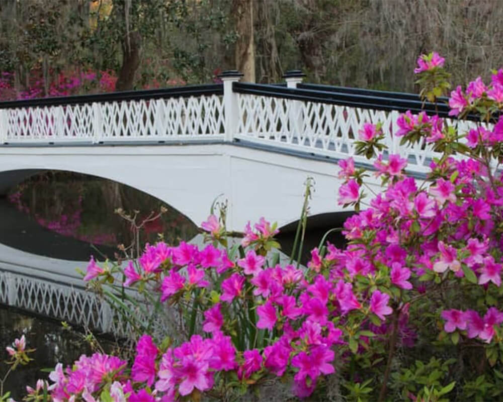 West Ashley Homes for Sale